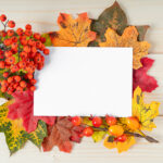 Orange,Maple,Leaf,,Berries,And,Mock,Up,Paper,Blank,On
