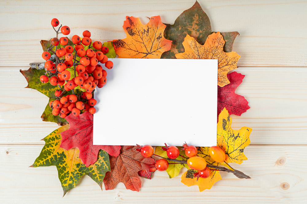 Orange,Maple,Leaf,,Berries,And,Mock,Up,Paper,Blank,On